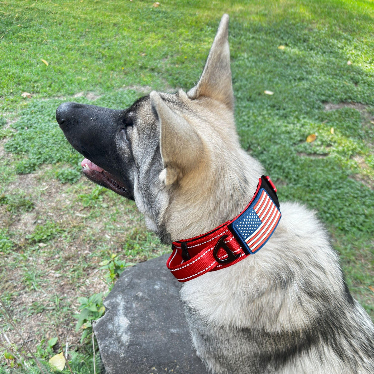 DEZIZEUSK9 Animal Collar in 16-25 INCH, RED-COBVEL2