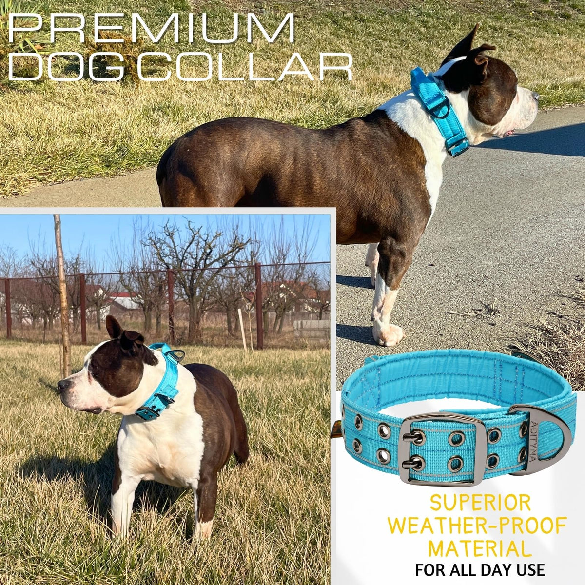 ADITYNA Animal Collar in Extra-Large: Fit 24-30" Neck, Blue
