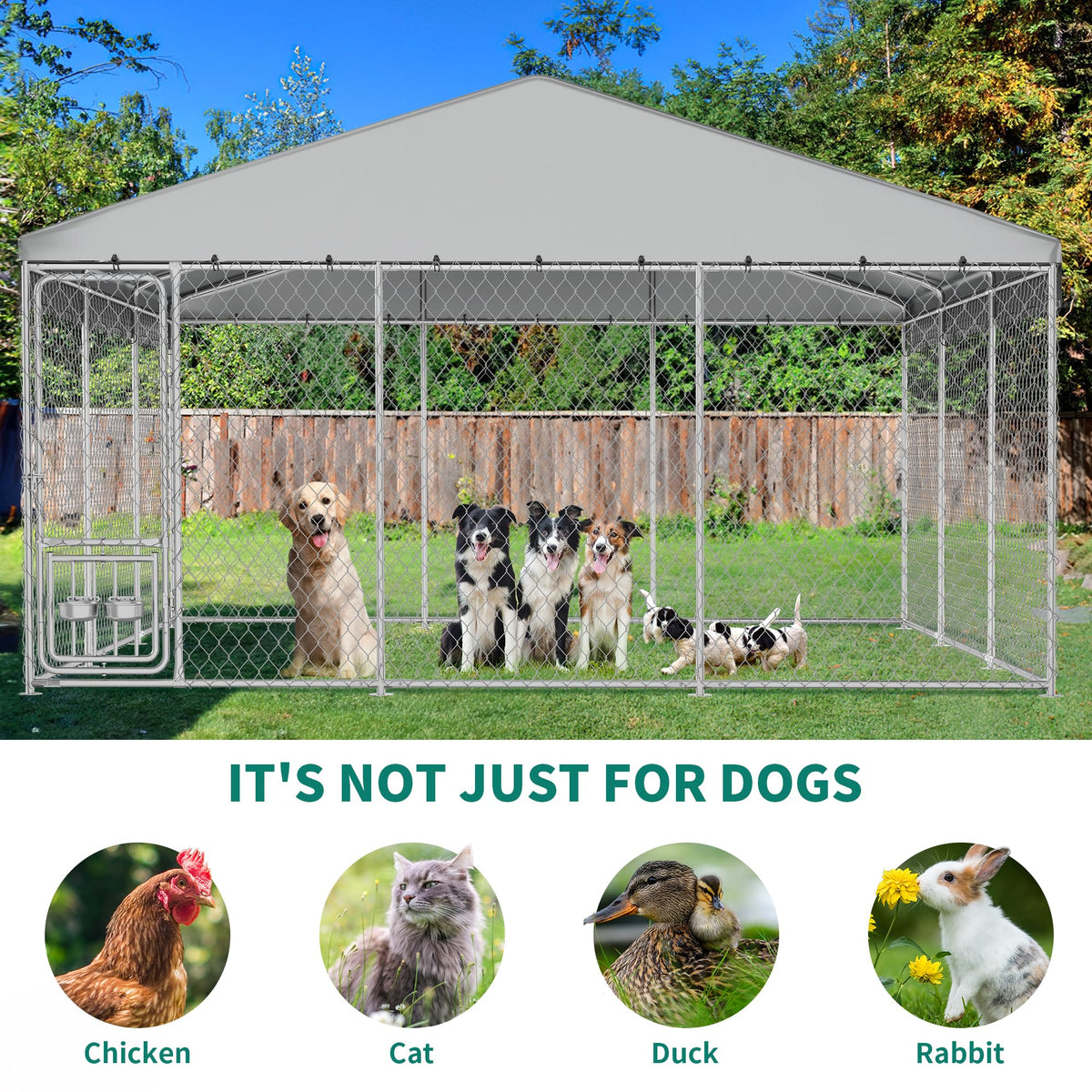 DWVO Animal Cage in 14.7 x 14.7 FT, Silver
