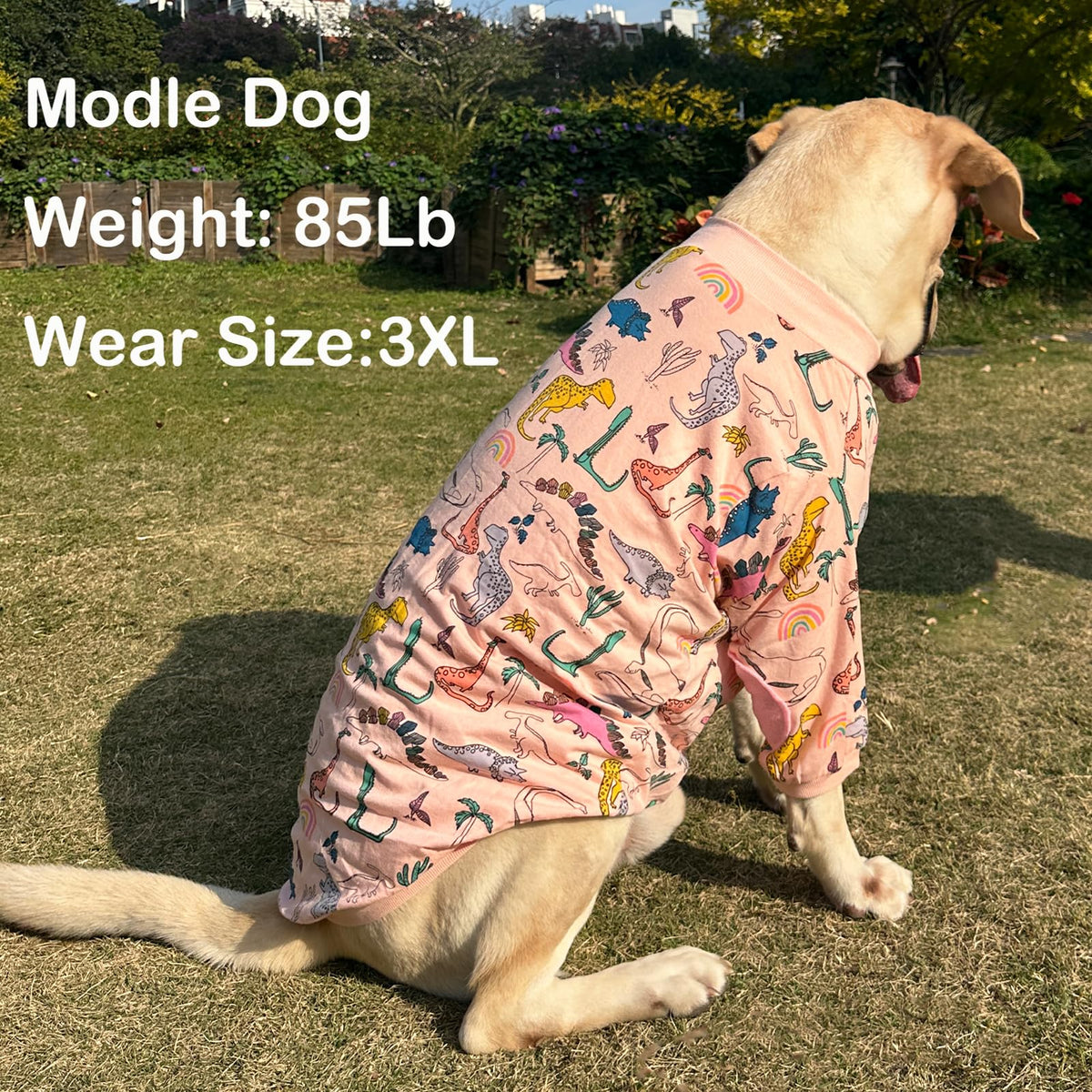 PriPre Pet Apparel in Small, .Blue Pink