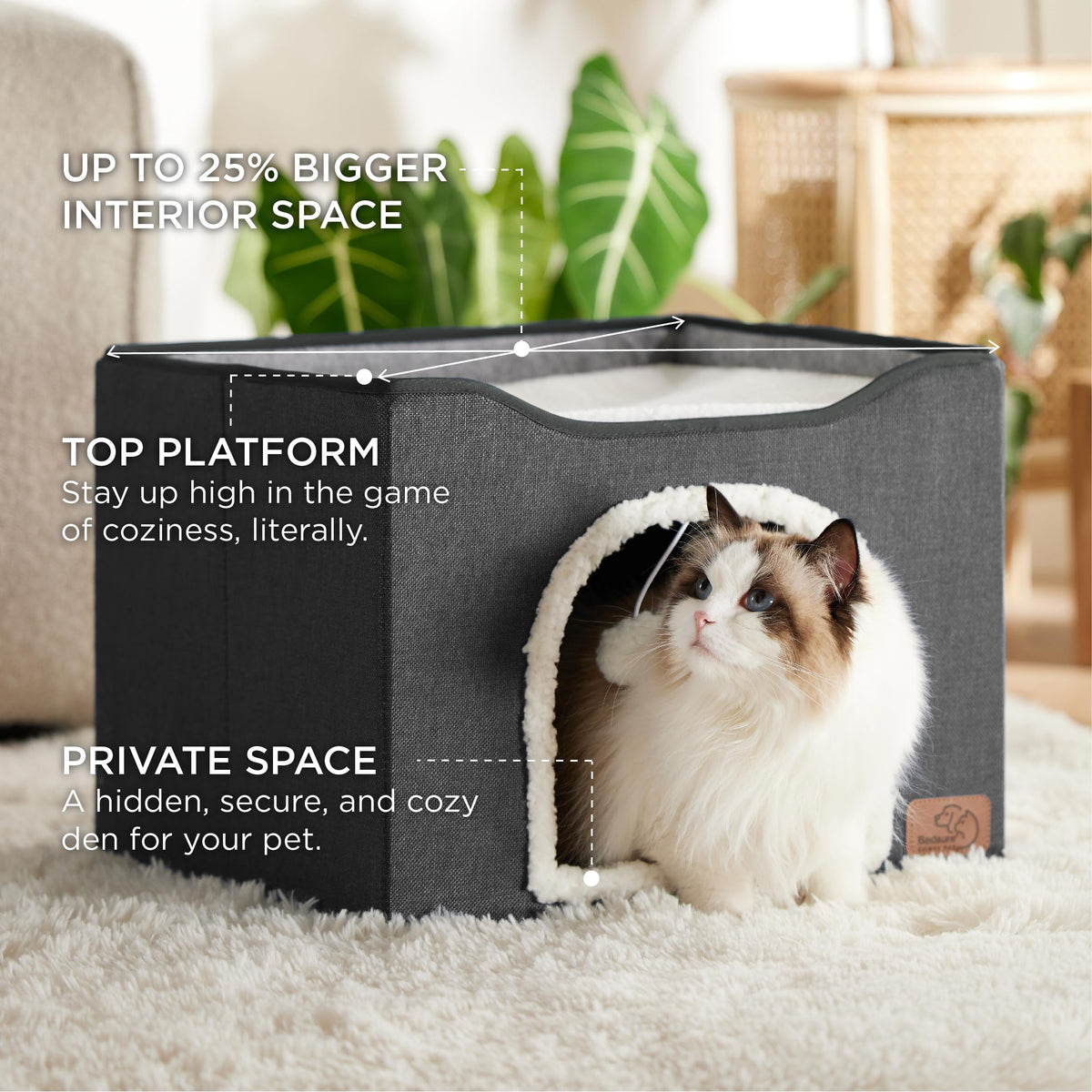 Bedsure Pet Activity Structure in Double, Dark Grey