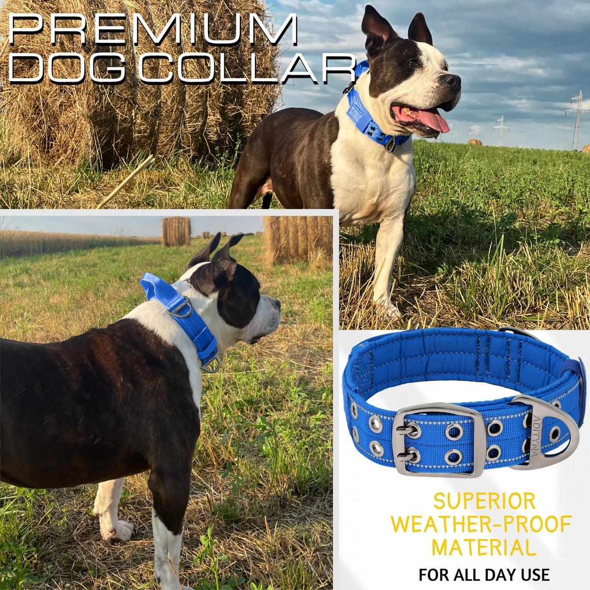 ADITYNA Animal Collar in Extra-Large: Fit 24-30" Neck, Royal Blue