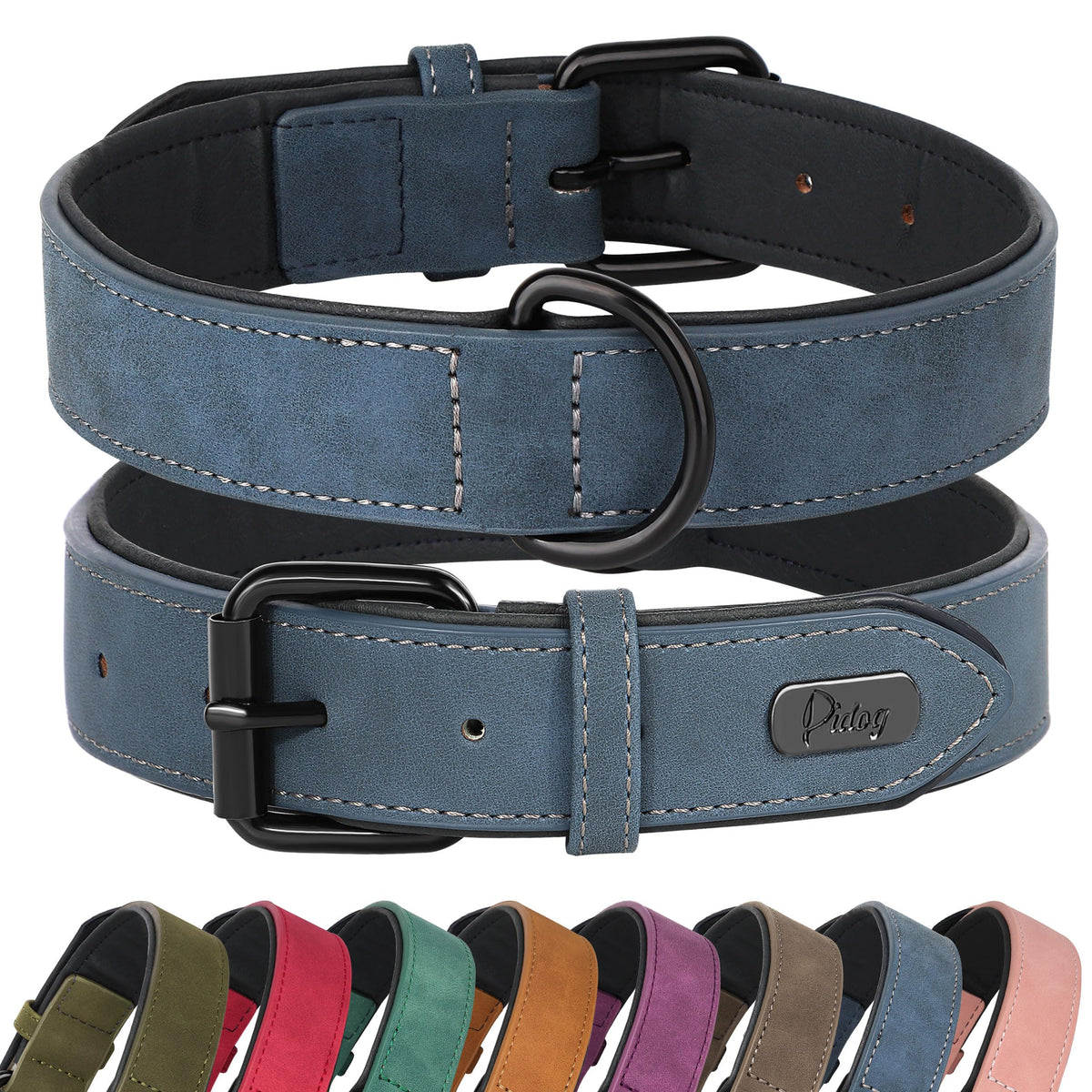 Didog Animal Collar in M: Fit Neck 11-14"(10-20 lbs), Blue