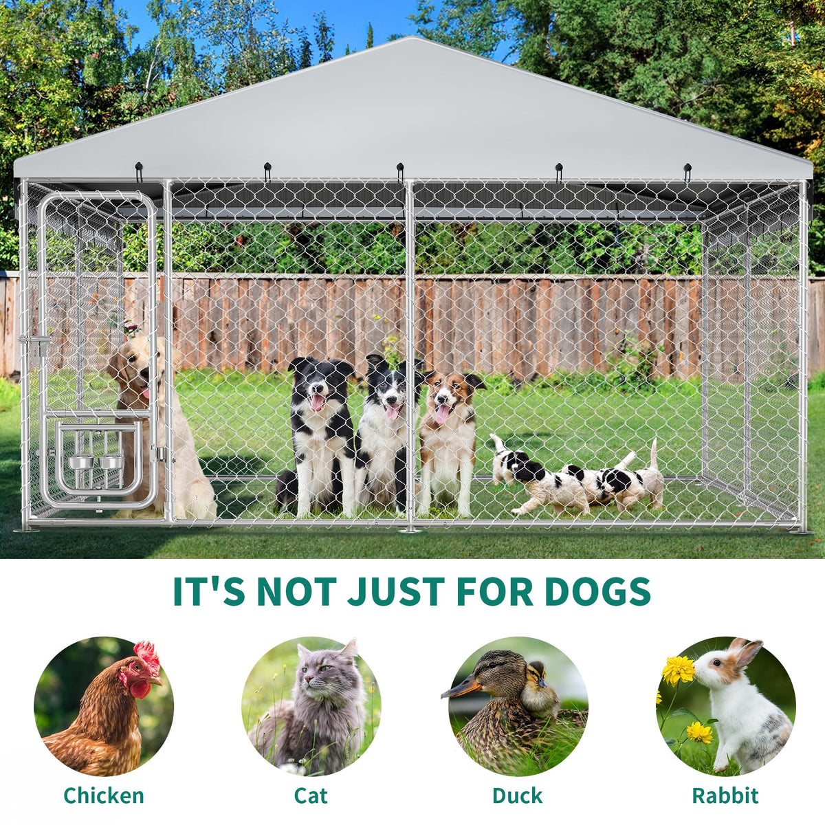 DWVO Animal Cage in 10 x 10 FT, Silver