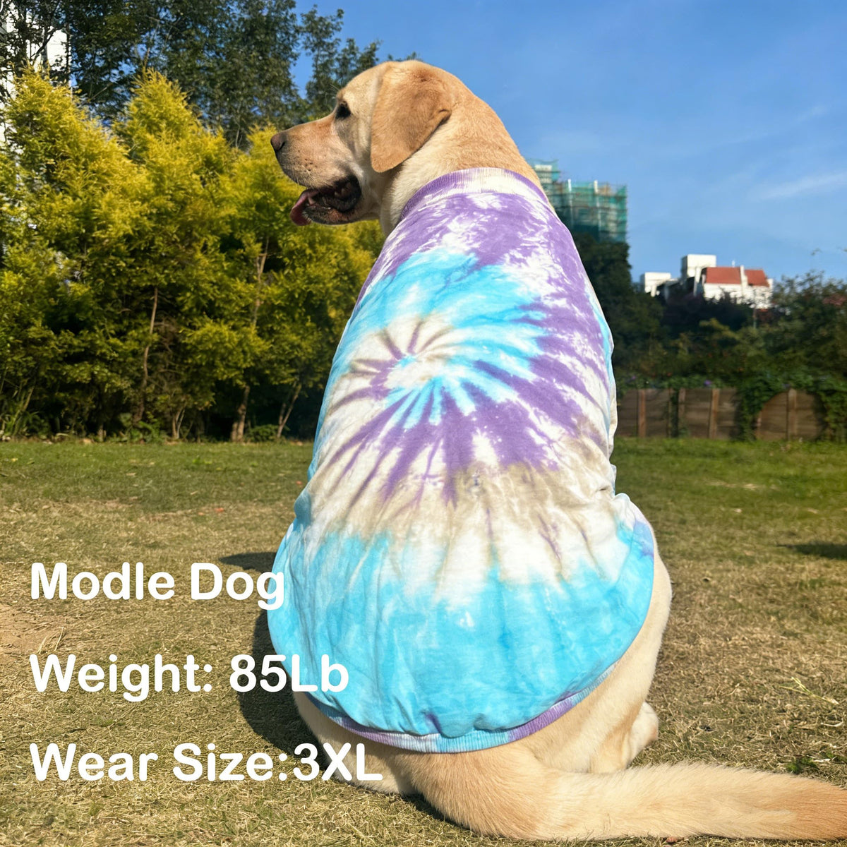 PriPre Pet Apparel in Medium, .Blue Purple