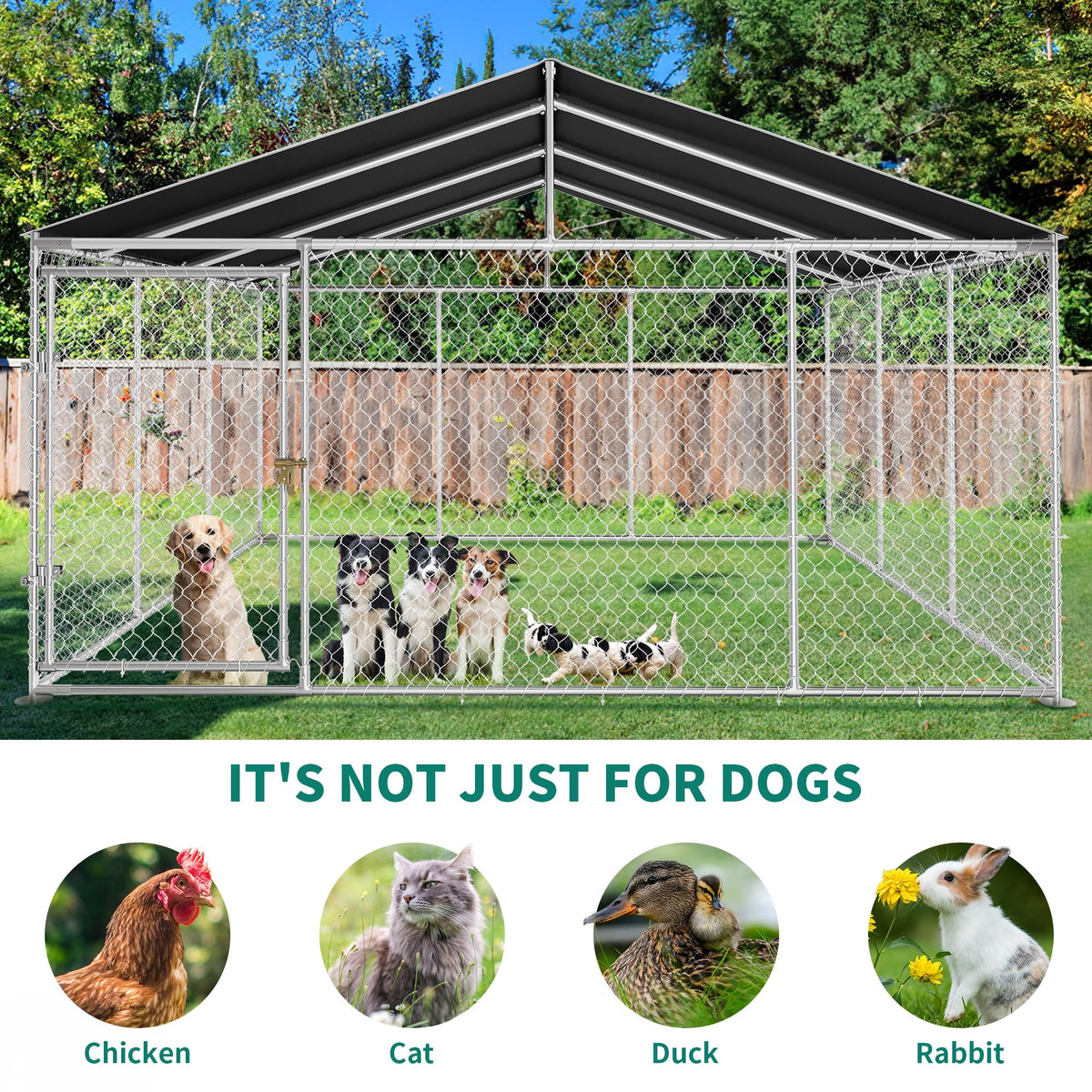 DWVO Animal Cage in 14.7' x 14.7', Silver