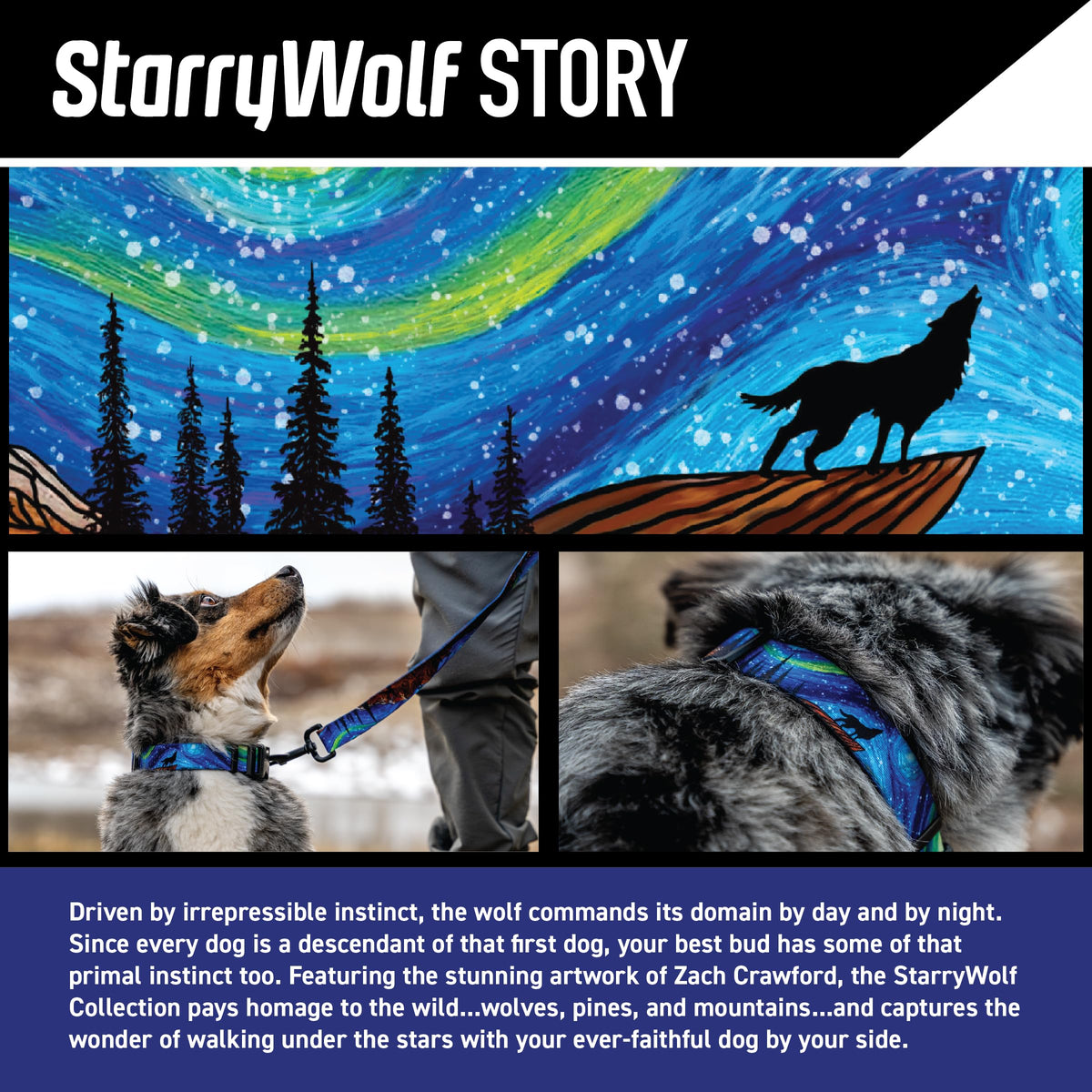 Wolfgang Man & Beast Animal Harness in Small (5/8 Inch x 12-18 Inch), StarryWolf Print
