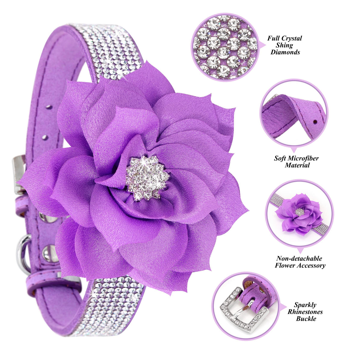 PET ARTIST Animal Collar in XS:Neck 7.5-10"(3-7 lbs), Purple