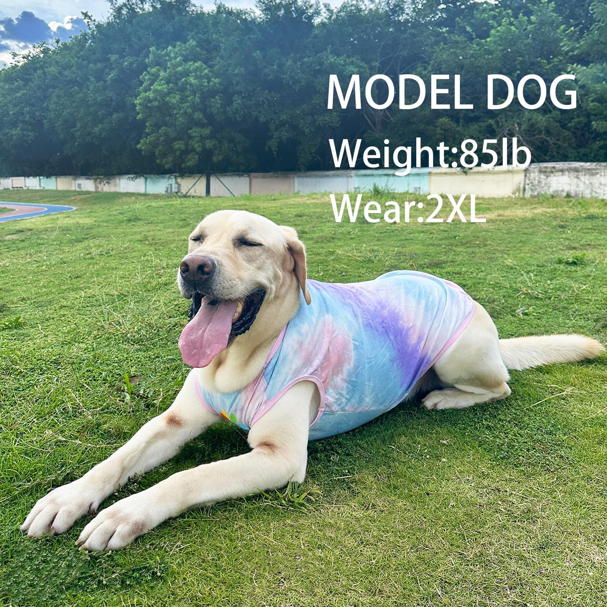 PriPre Pet Apparel in Medium, Vest Pink