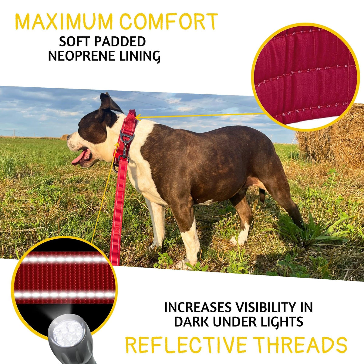 ADITYNA Animal Collar in Extra-Large: Fit 24-30" Neck, Burgundy