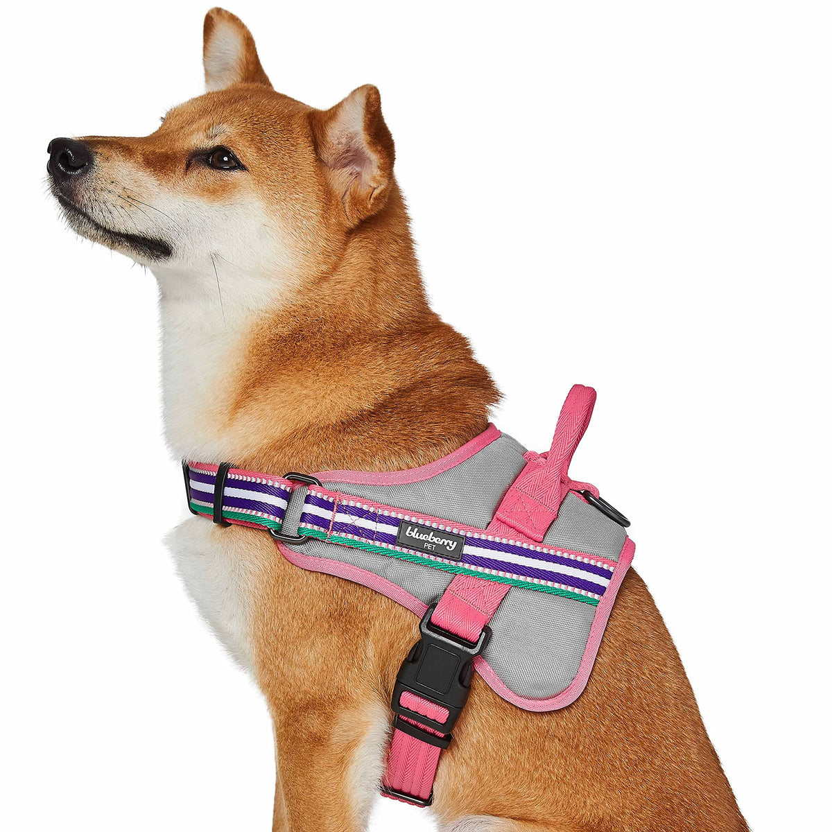 Blueberry Pet Animal Harness in Emerald,Orchid and Pink