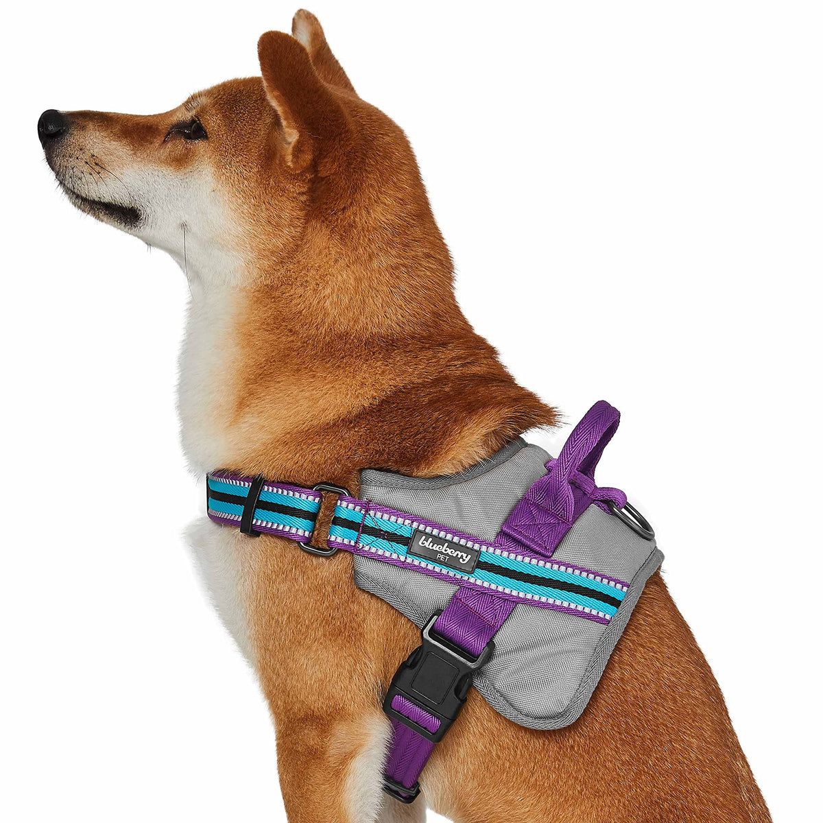 Blueberry Pet Animal Harness in Medium, Blue-gray and Olive
