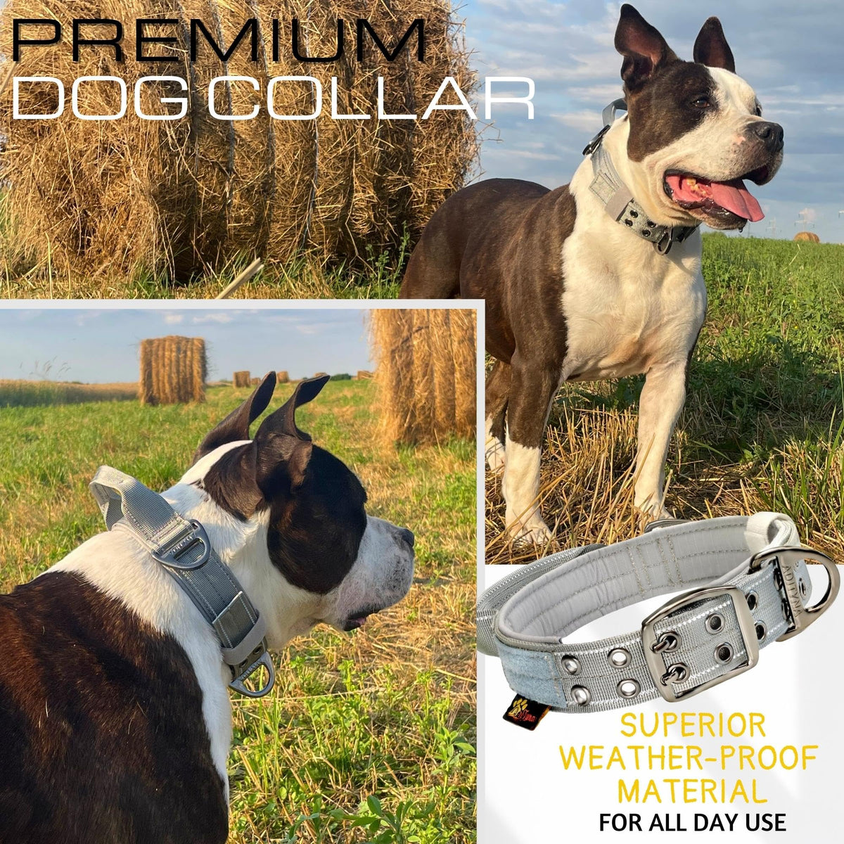 ADITYNA Animal Collar in Large: Fit 18-23" Neck, Gray