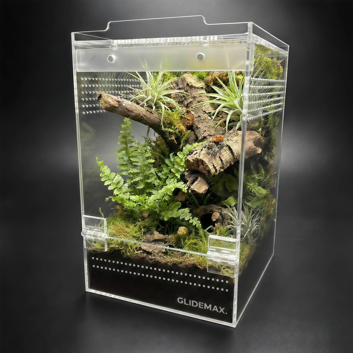 GlideMax Vivarium in 6x6x9inch, Clear
