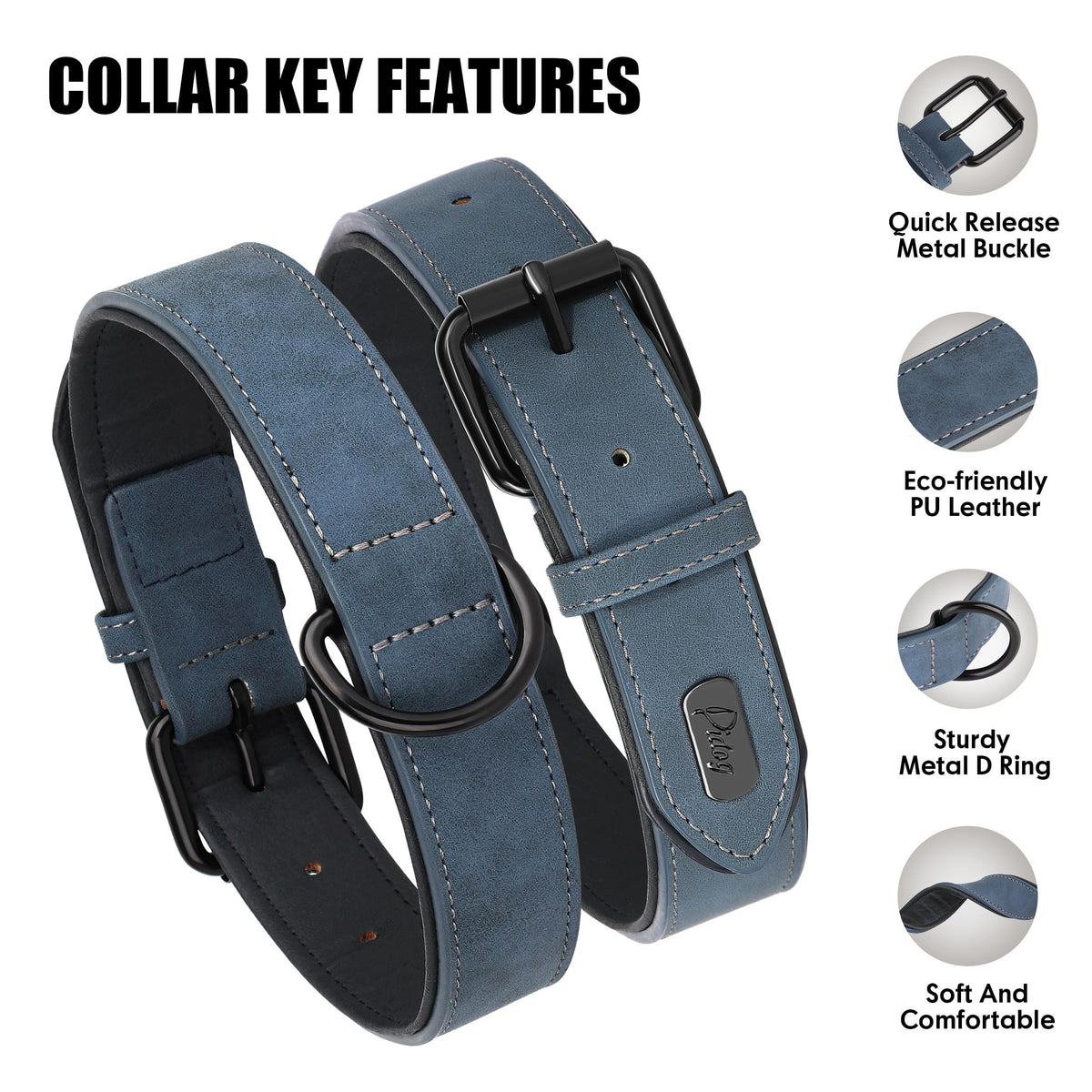 Didog Animal Collar in M: Fit Neck 11-14"(10-20 lbs), Blue