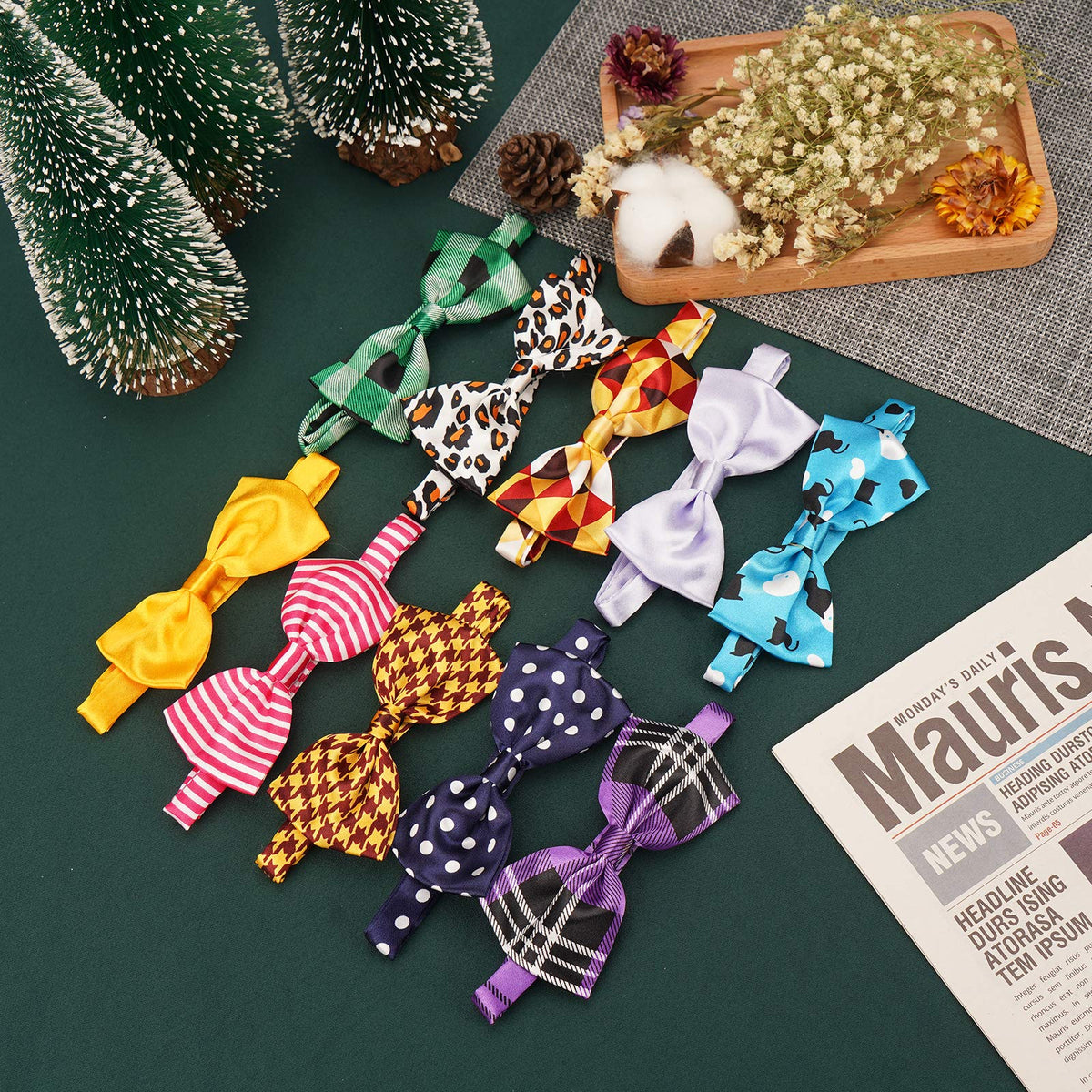 Segarty Pet Apparel in Medium, 40pcs-Various