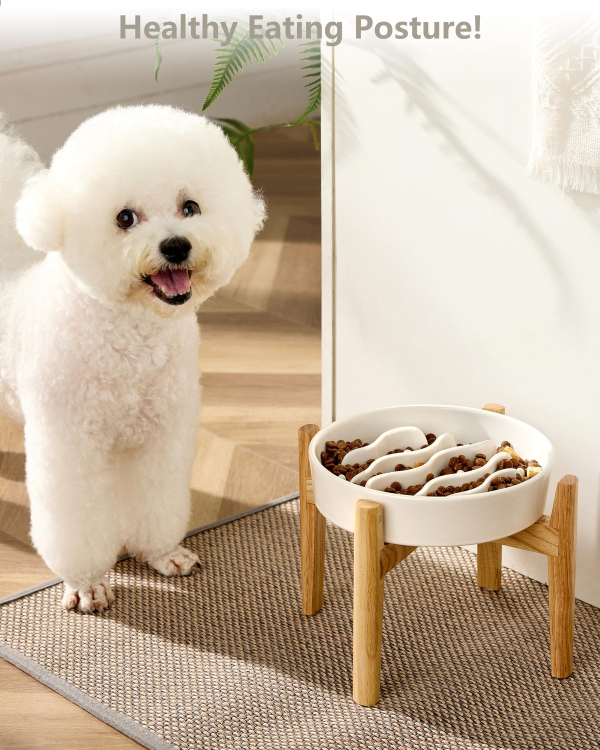 MOPANG Pet Feeder in 6 Inches, White + Stand