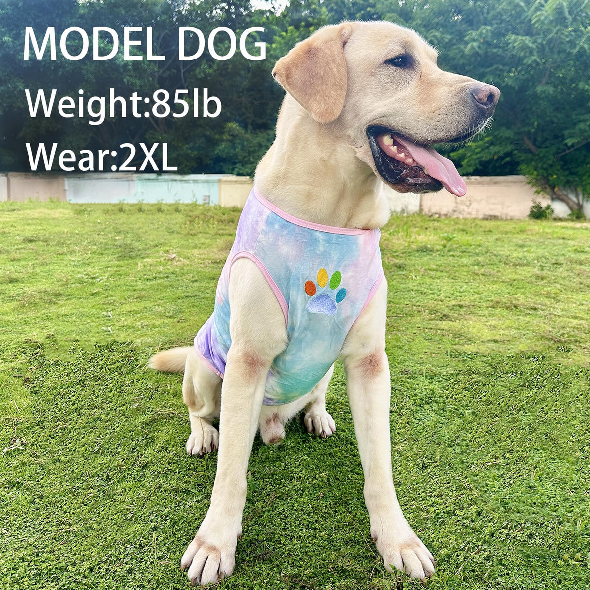 PriPre Pet Apparel in Medium, Vest Pink