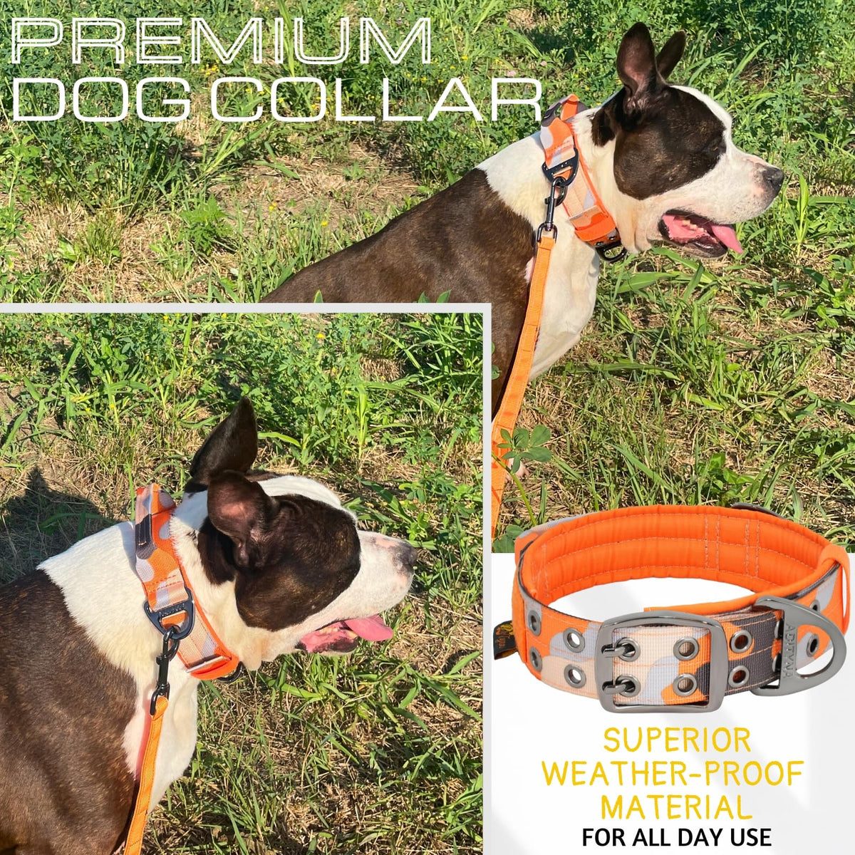 ADITYNA Animal Collar in Extra-Large: Fit 24-30" Neck, Camo Orange