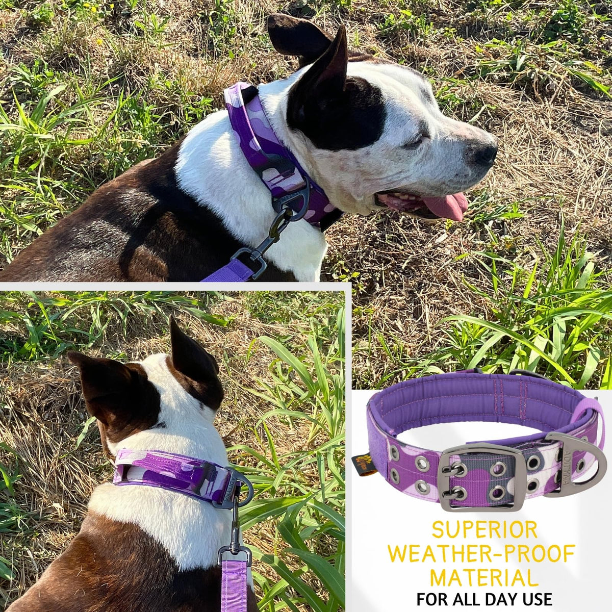 ADITYNA Animal Collar in Extra-Large: Fit 24-30" Neck, Camo Purple