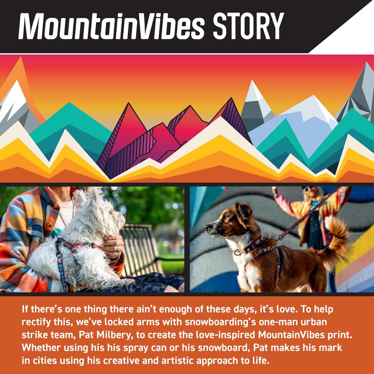 Wolfgang Man & Beast Animal Collar in Small (5/8 Inch x 8-12 Inch), MountainVibes Print