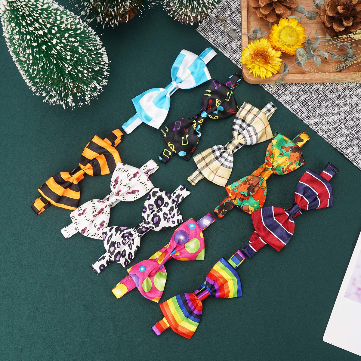 Segarty Pet Apparel in Small to Medium, 40pcs-Multi-colored