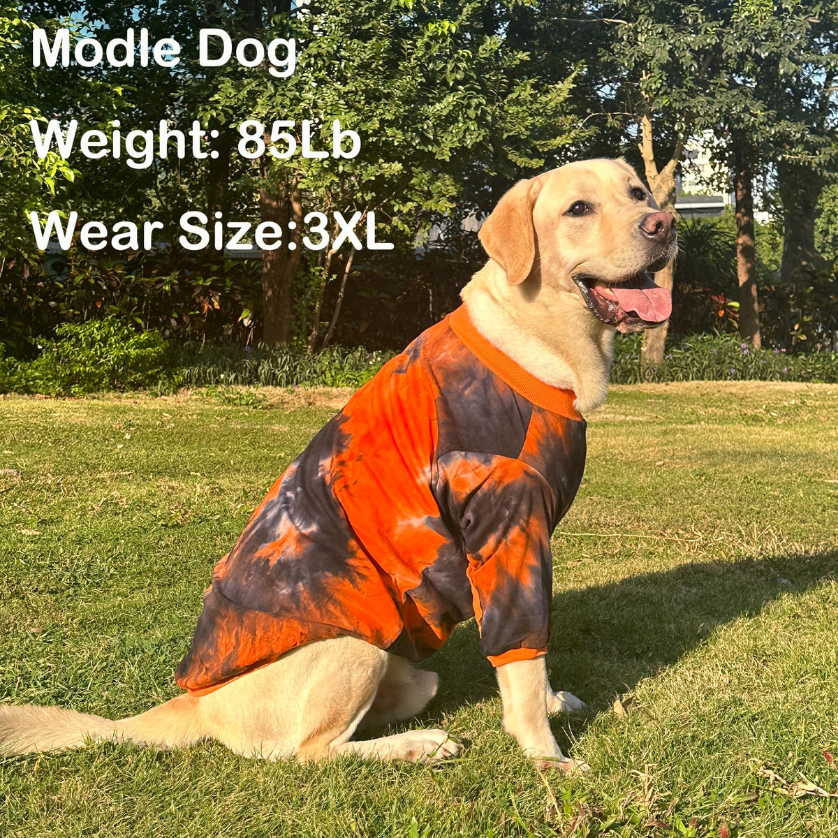 PriPre Pet Apparel in Large, Black Orange