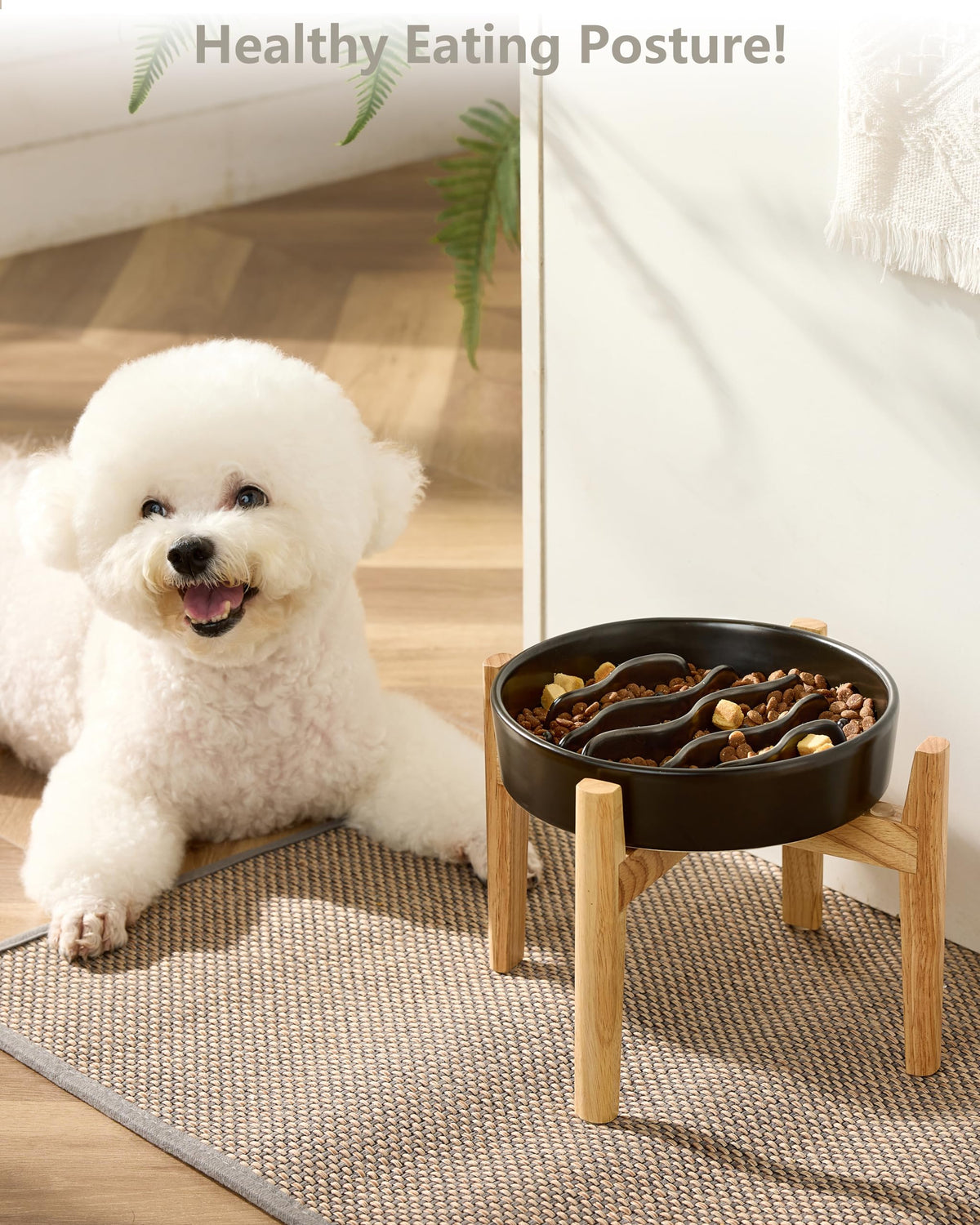 MOPANG Pet Feeder in 6 Inches, Black + Stand