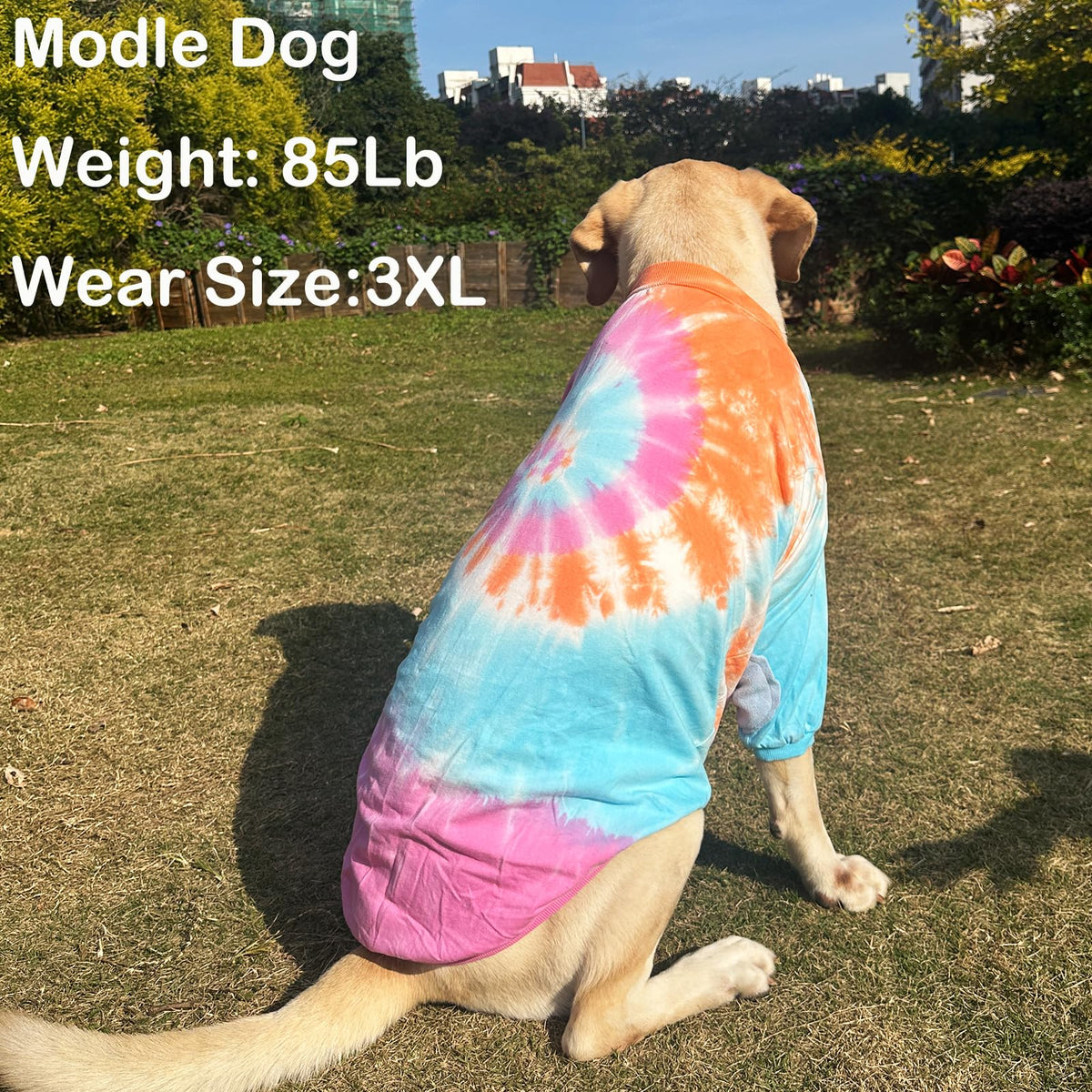 PriPre Pet Apparel in Medium, .Pink Orange