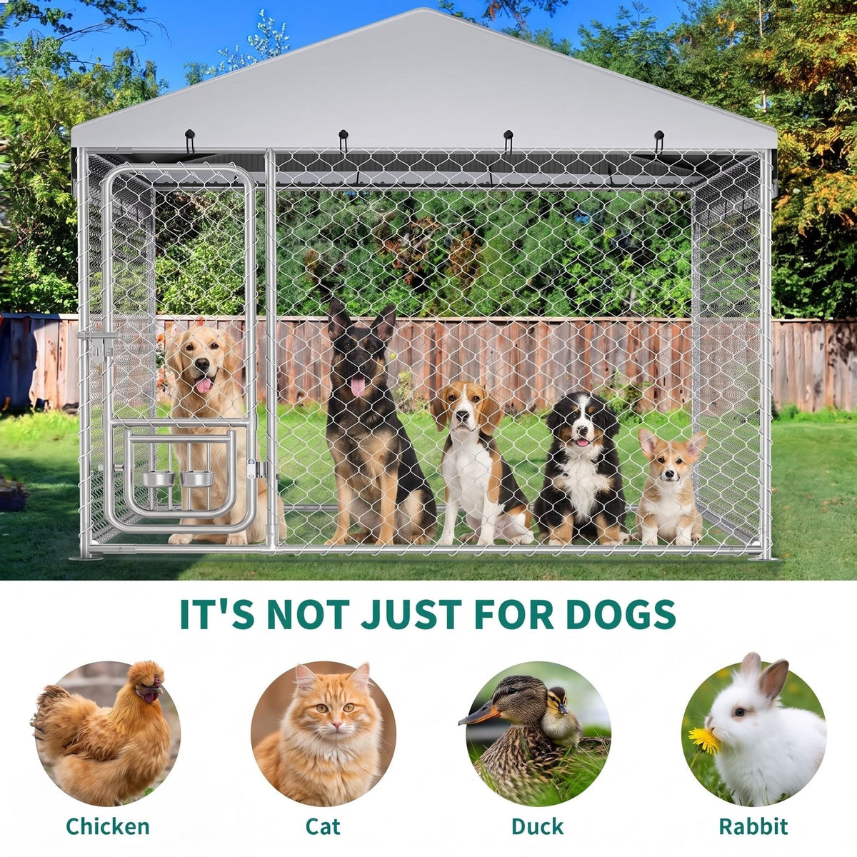 DWVO Animal Cage in 8'L x4' W x 6'H, Black