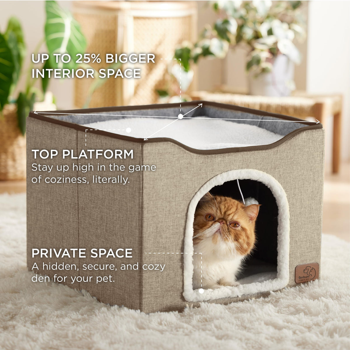 Bedsure Pet Activity Structure in Single, Brown