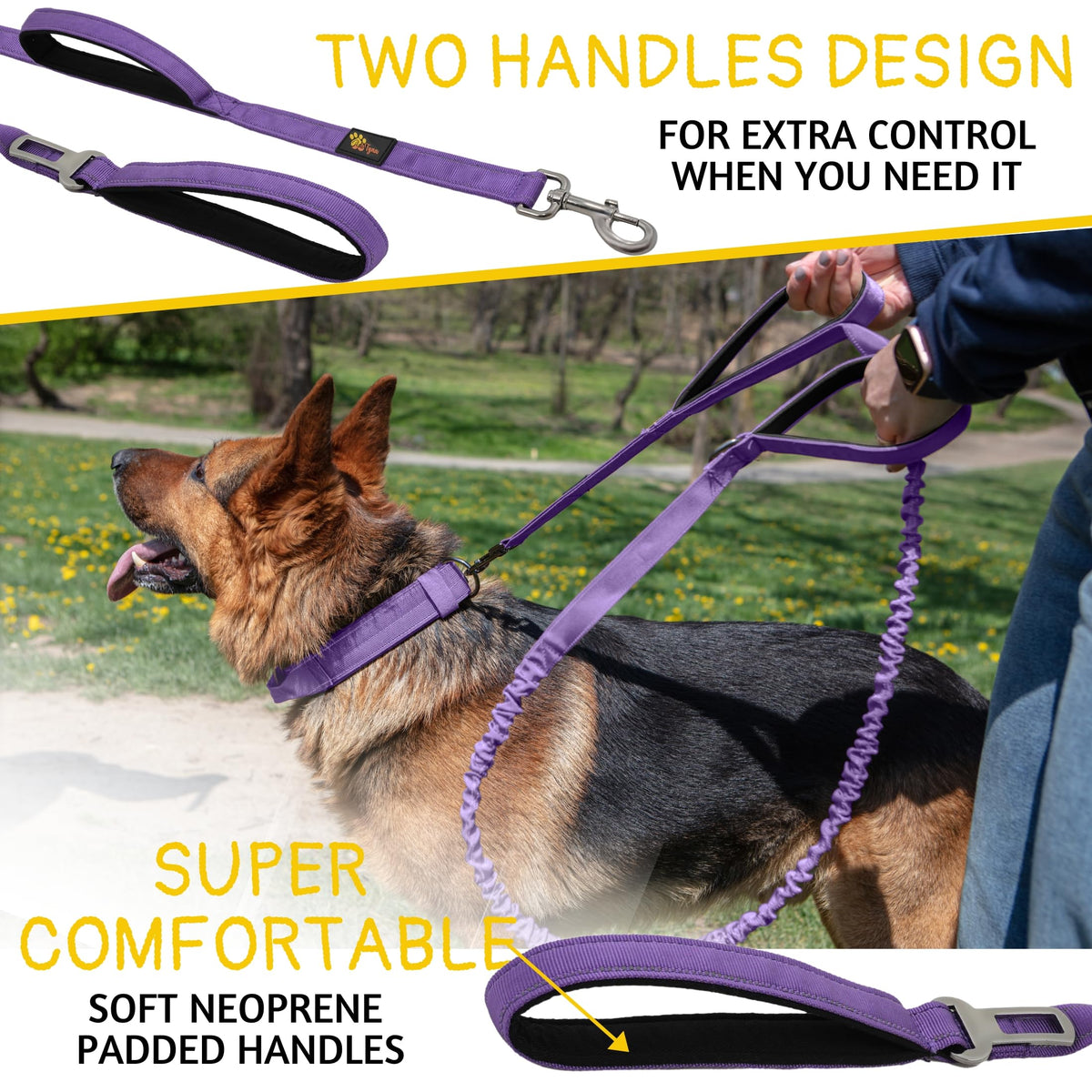 ADITYNA Leash in 6ft - 7.5ft, Purple