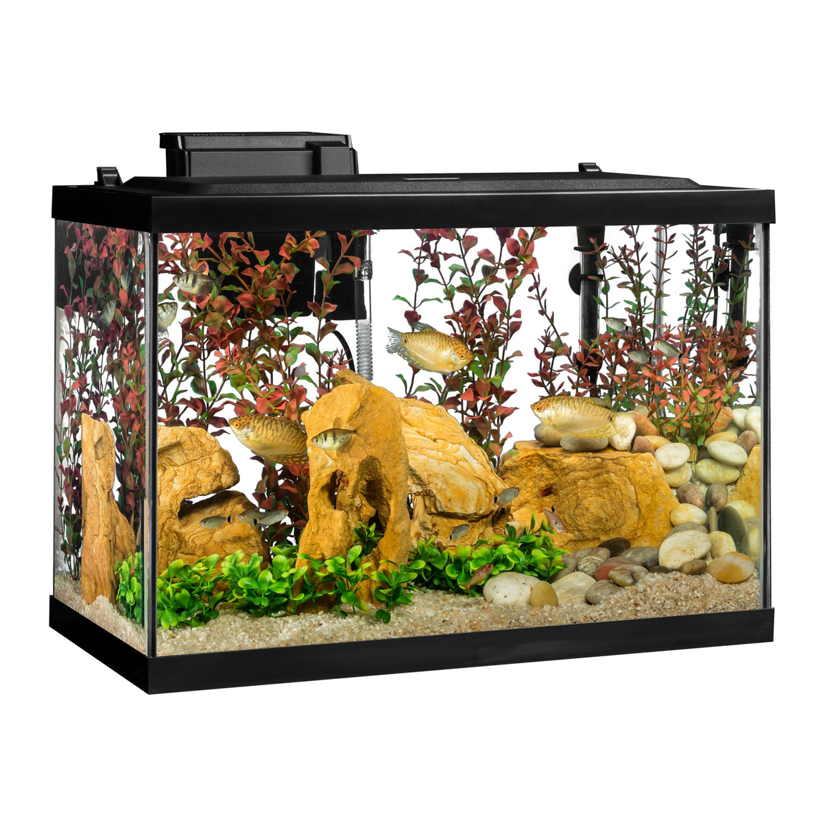 Tetra Aquarium Pond Water Treatment in 12 Count