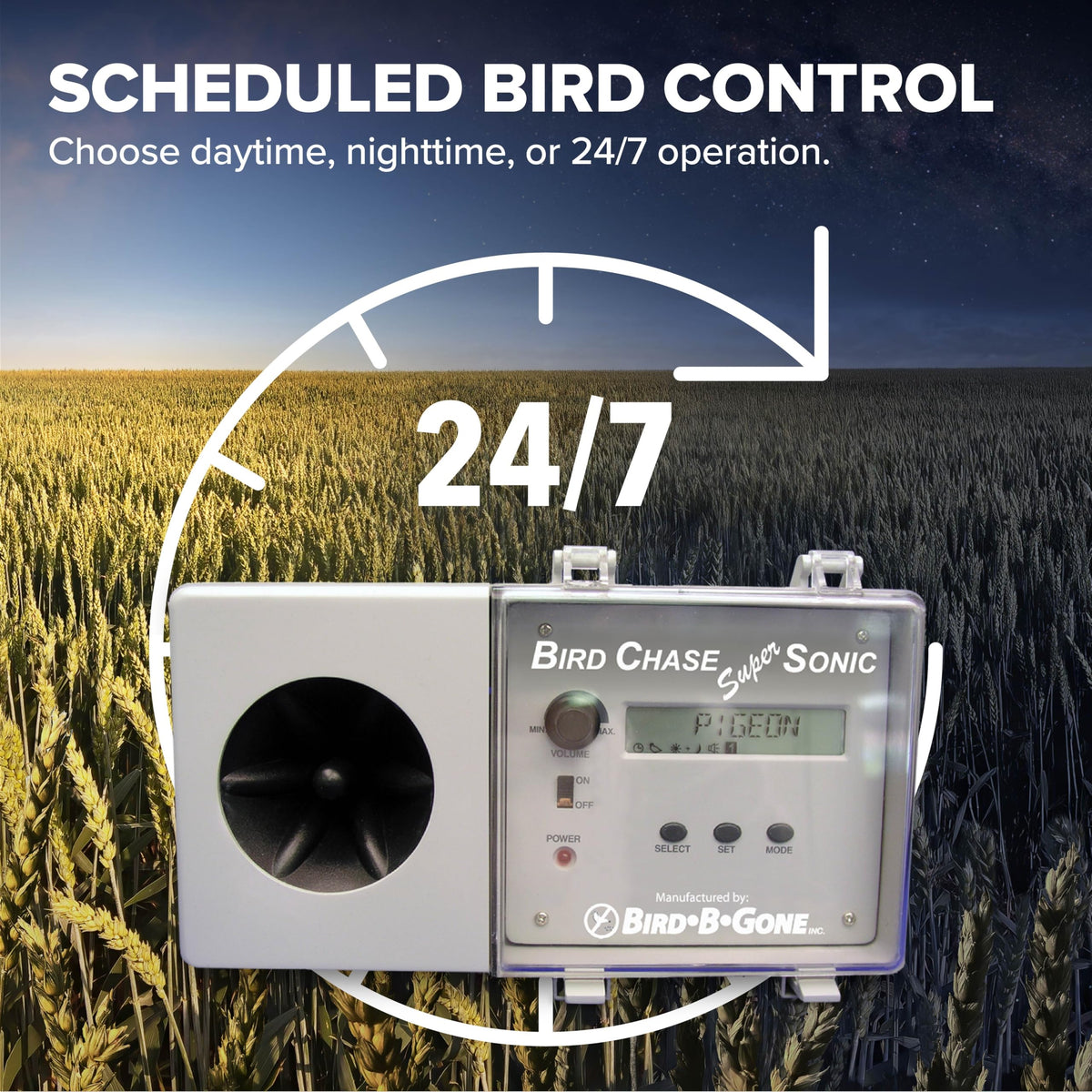 Bird B Gone Outdoor Living in 6 lb., Premium