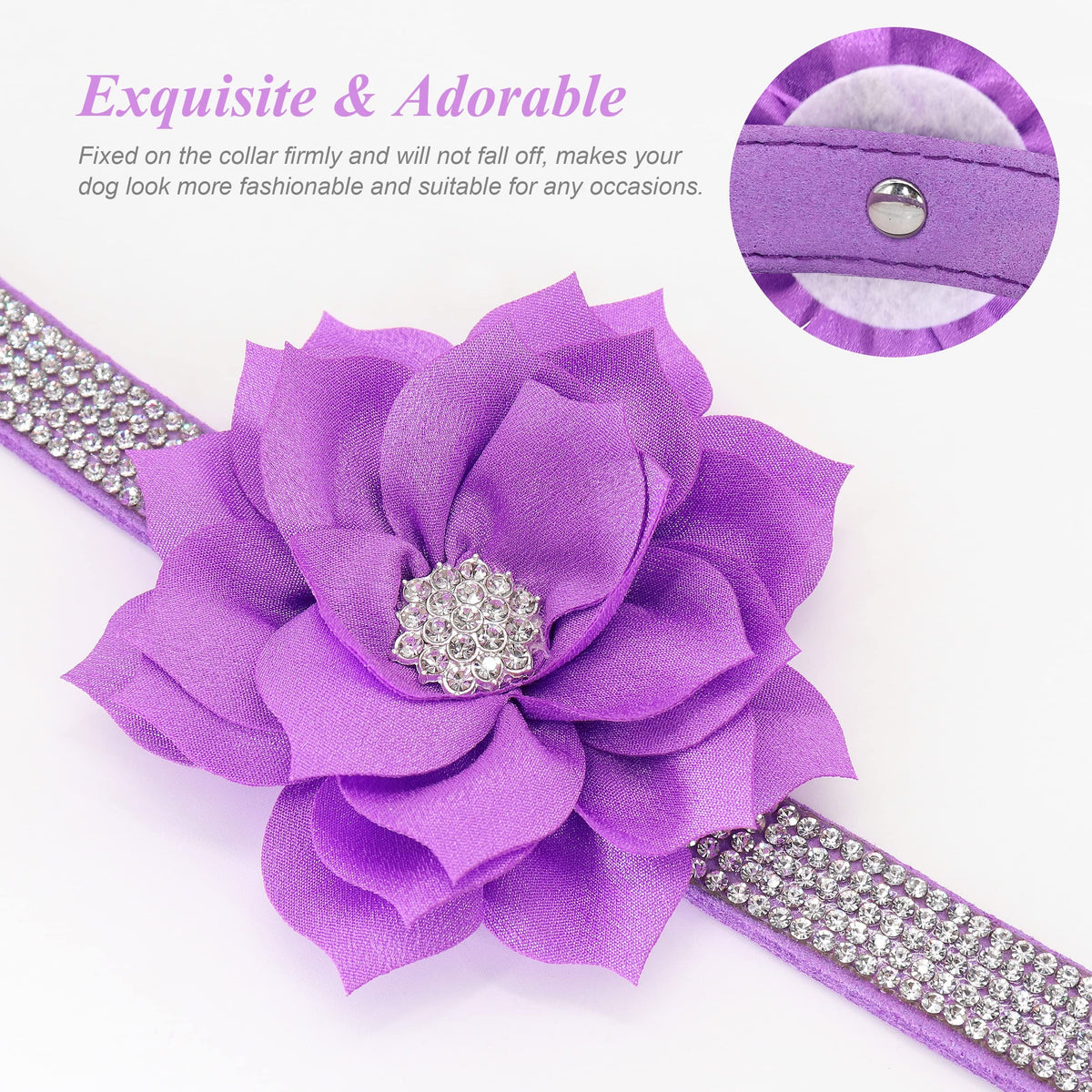 PET ARTIST Animal Collar in XS:Neck 7.5-10"(3-7 lbs), Purple