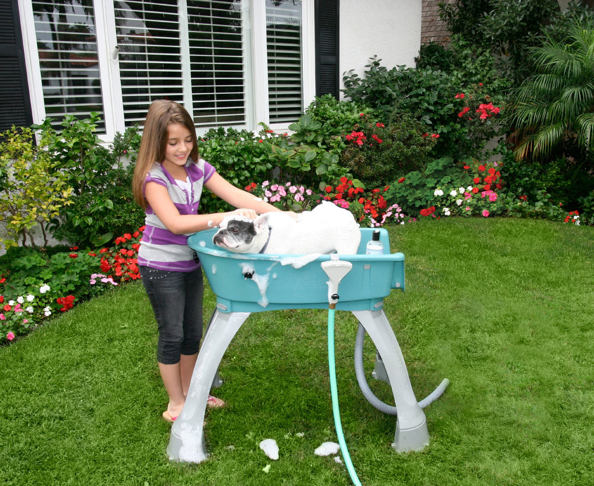 Booster Bath Pet Supplies in Medium, Blue