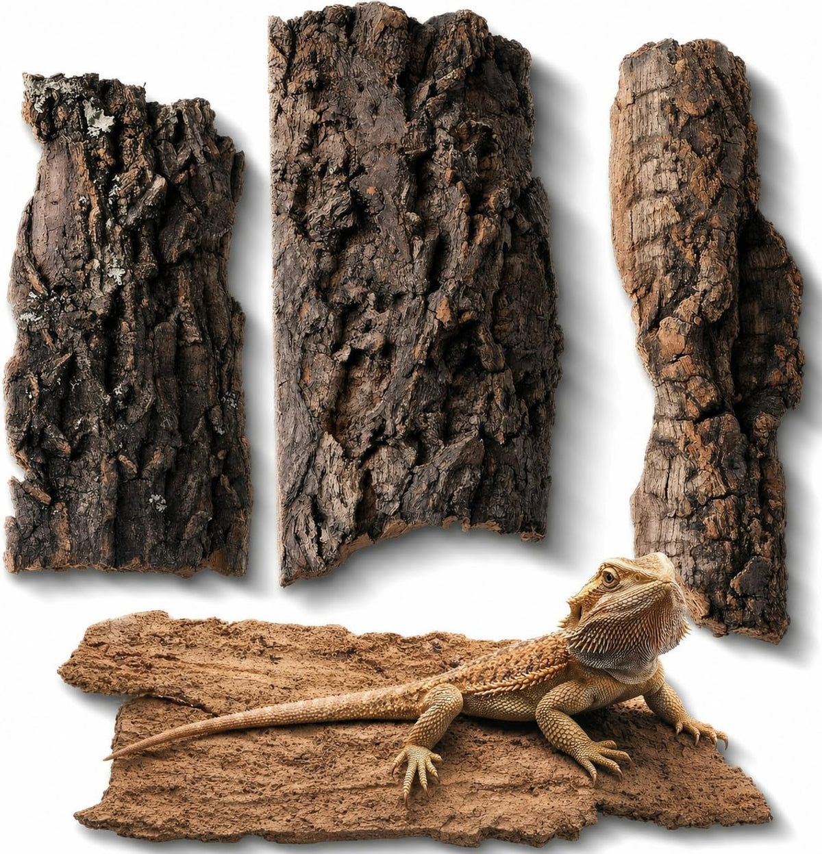 BESPORTBLE Pet Supplies