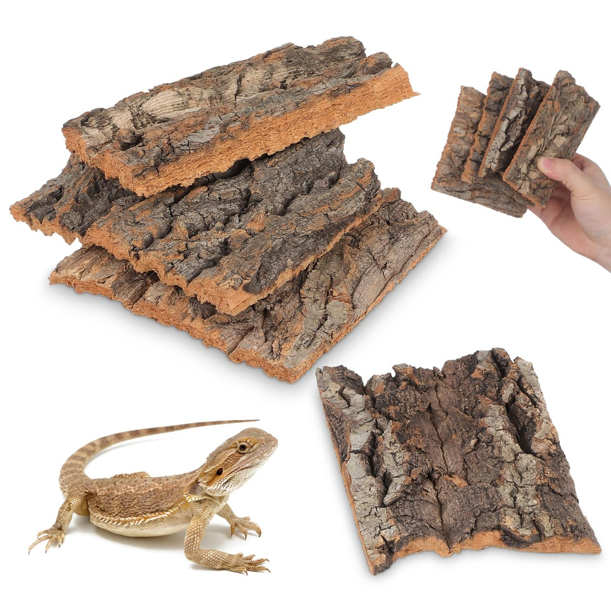 BESPORTBLE Pet Supplies