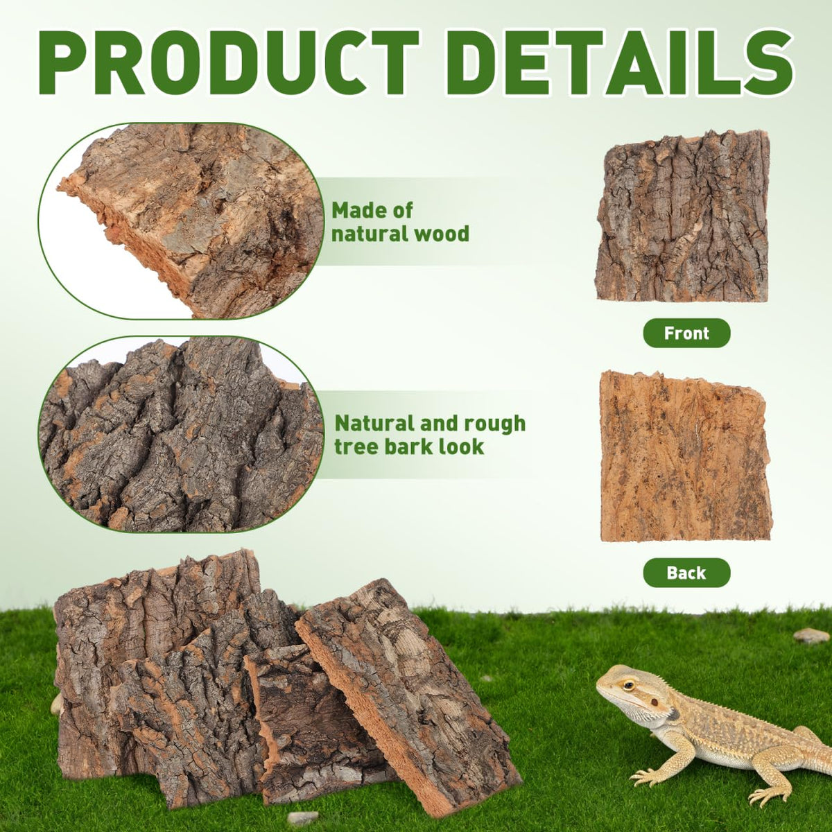 BESPORTBLE Pet Supplies