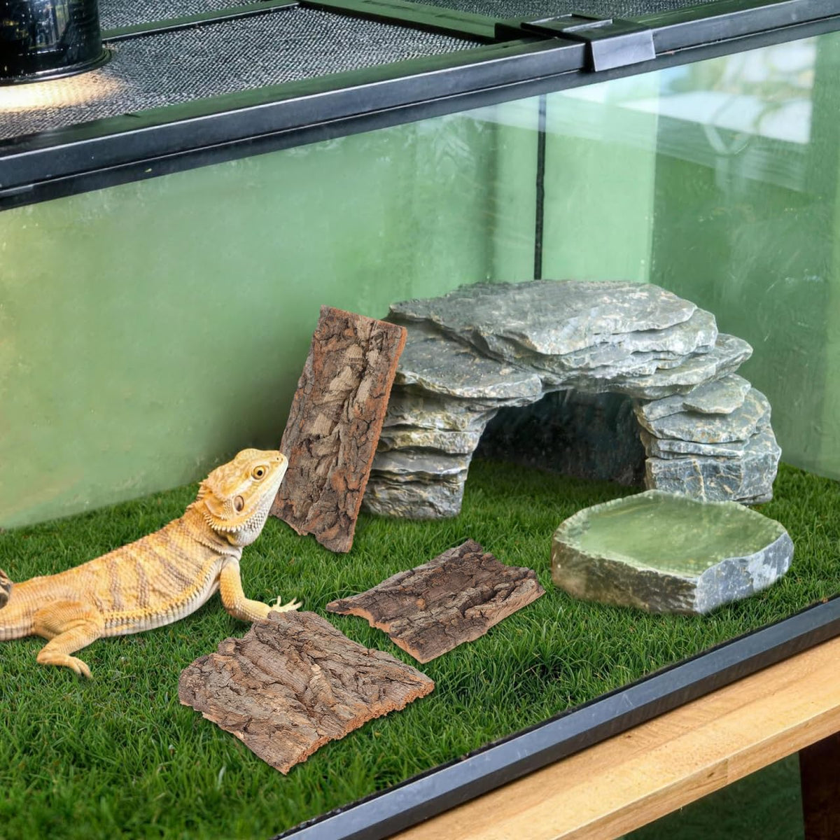 BESPORTBLE Pet Supplies