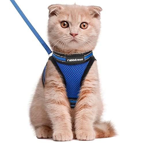 rabbitgoo Animal Harness in L, Blue