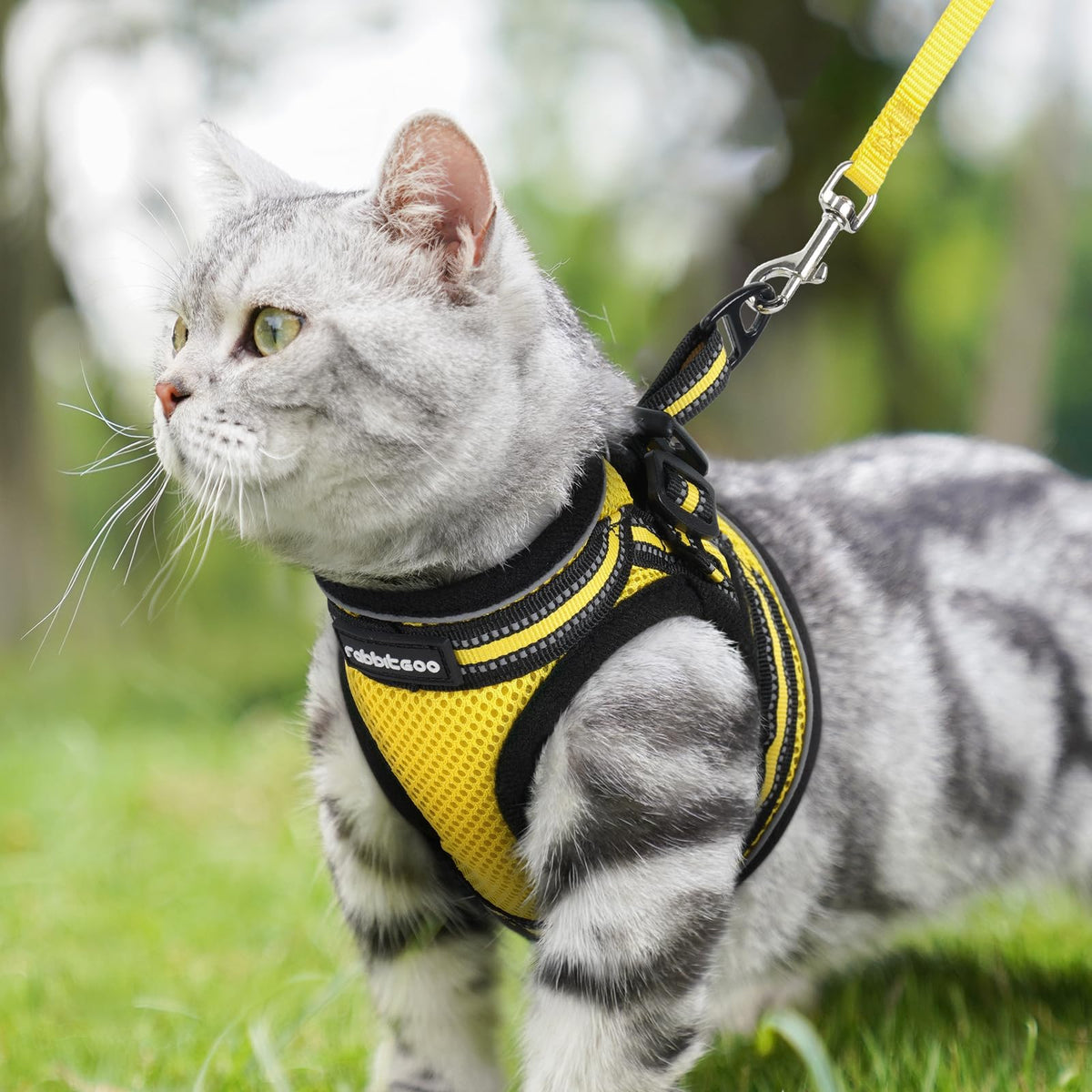 rabbitgoo Animal Harness in L, Bright Yellow