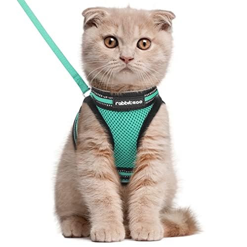 rabbitgoo Animal Harness in L, Green