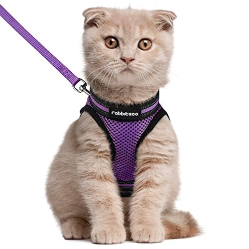 rabbitgoo Animal Harness in L, Purple