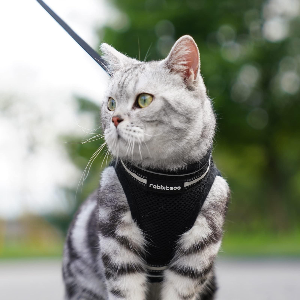 rabbitgoo Animal Harness in M, Black