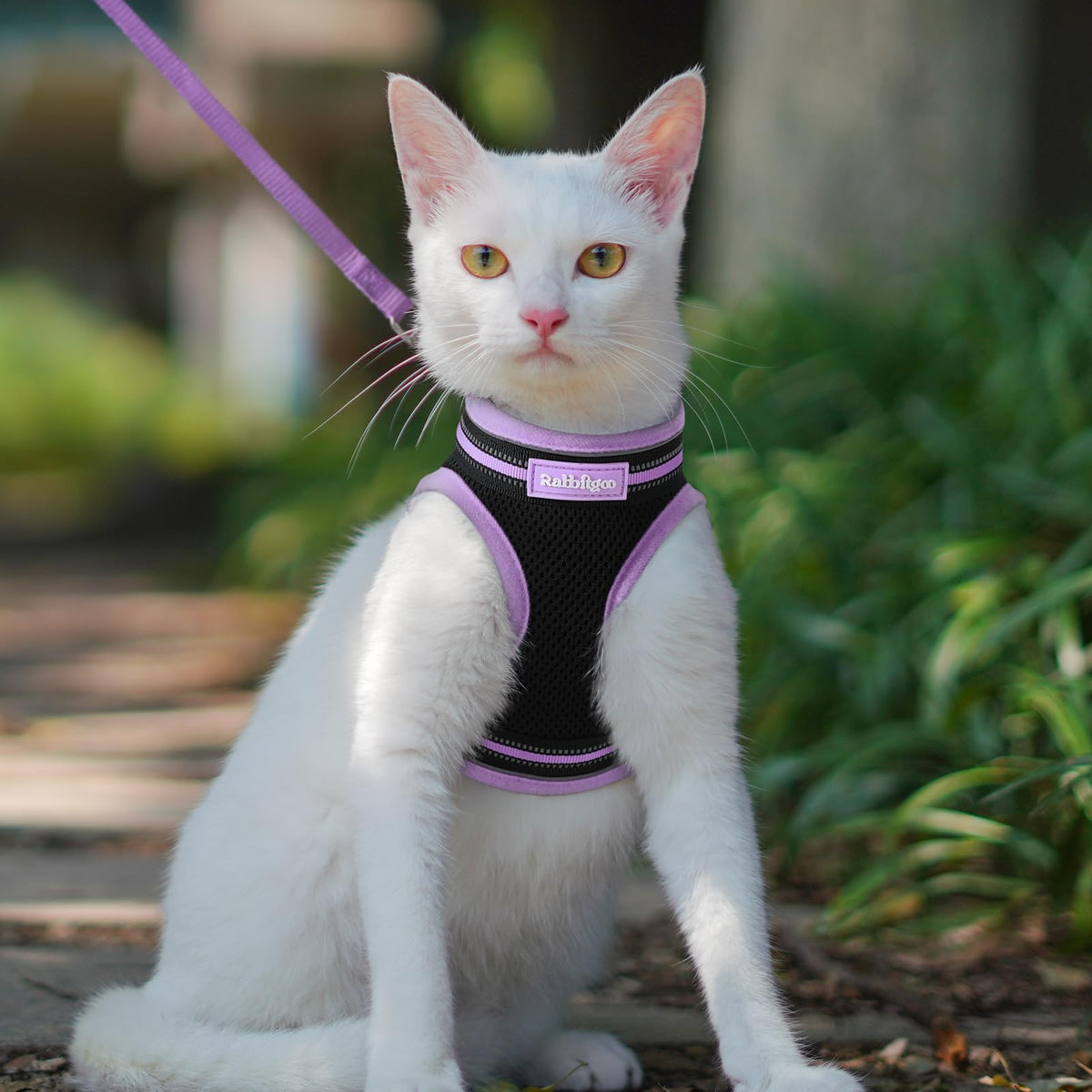 rabbitgoo Animal Harness in M, Black-Light Purple