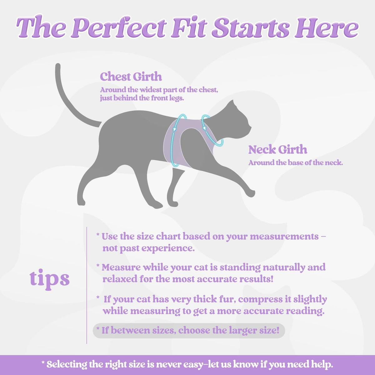 rabbitgoo Animal Harness in M, Black-Light Purple
