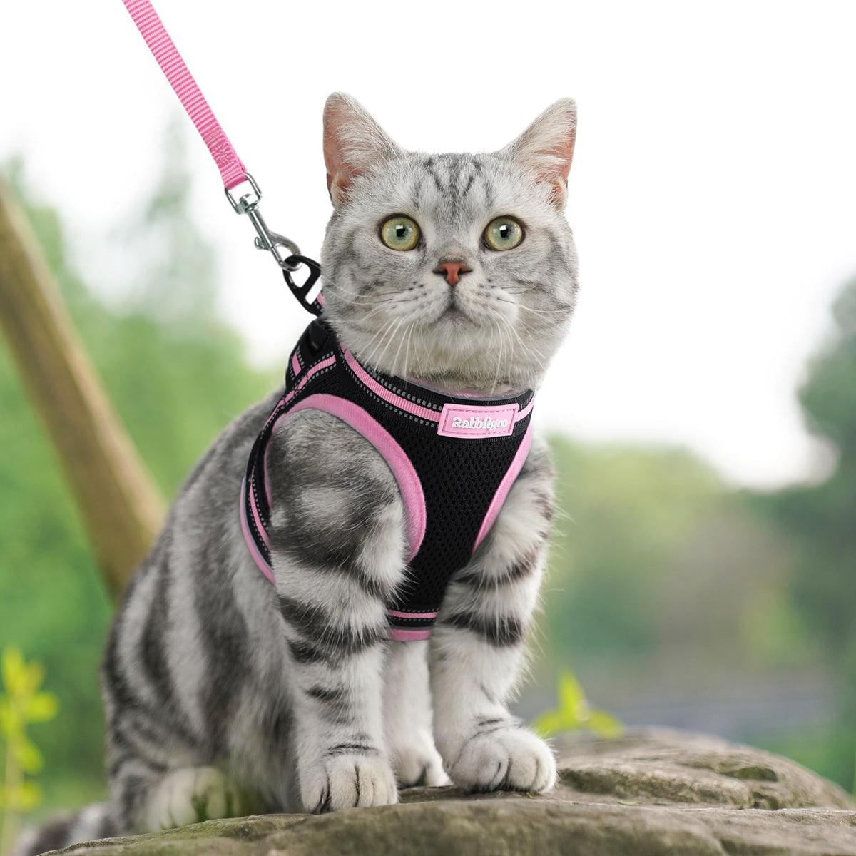 rabbitgoo Animal Harness in M, Black & Pink