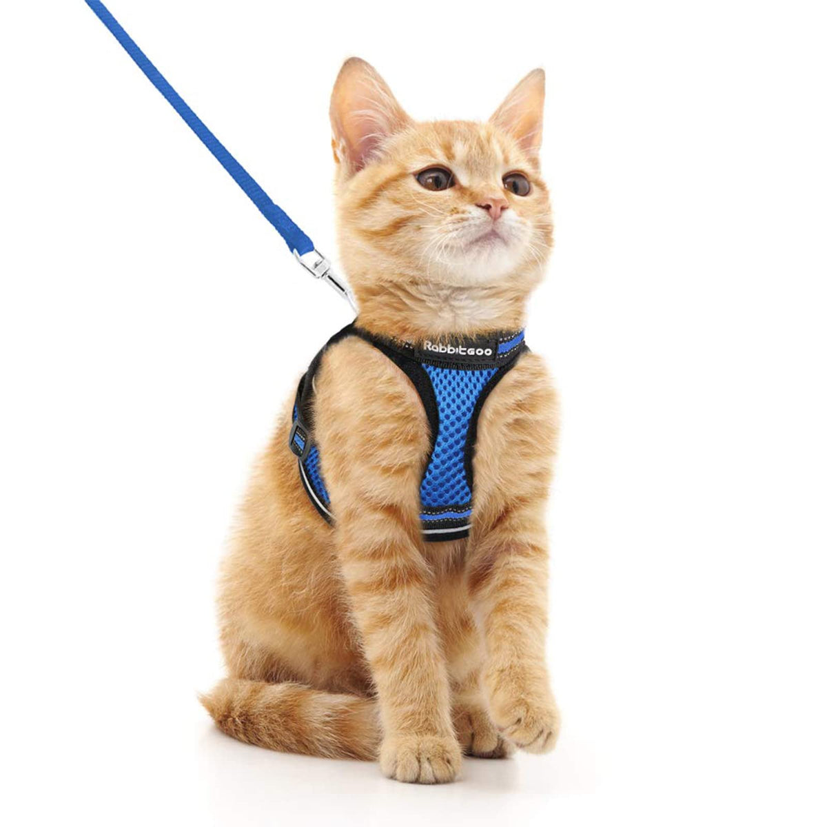 rabbitgoo Animal Harness in M, Blue