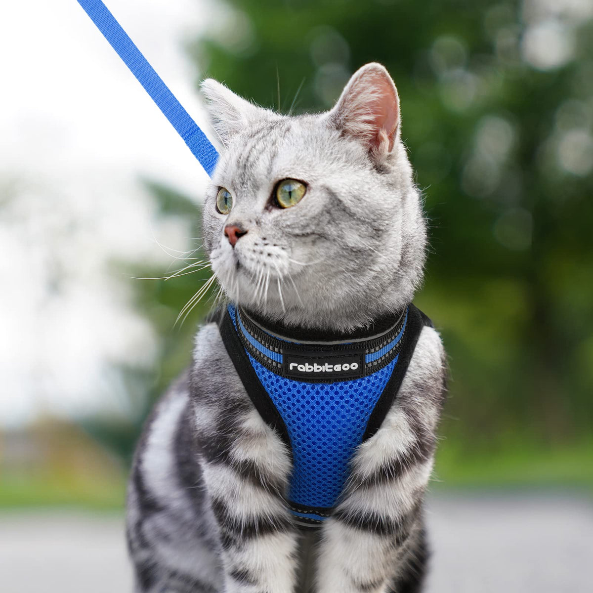 rabbitgoo Animal Harness in M, Blue